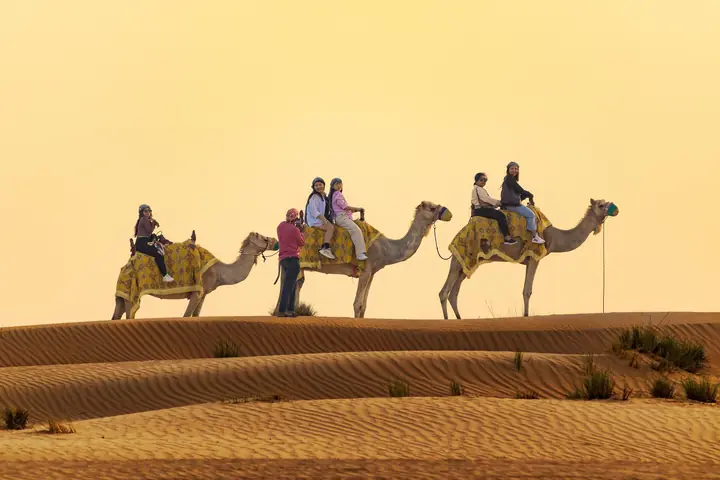 Camel caravan crossing the desert dunes